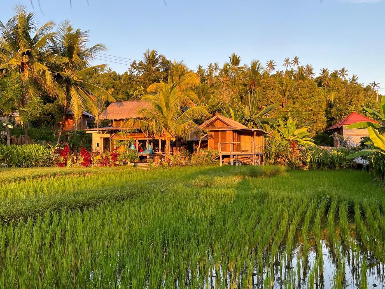 Pondok Apsari 2 Singaraja Exterior foto
